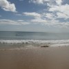 IMG_0794