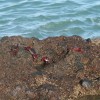 IMG_0845