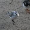 IMG_0871
