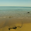 IMG_0882